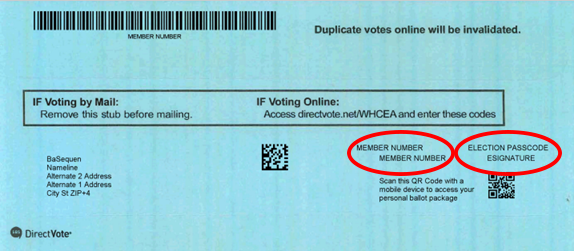 Blue voting envelope example