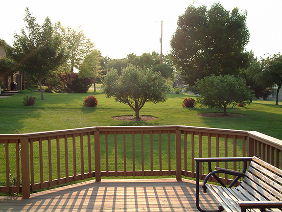 Don't just make your yard eye-pleasing, make it energy efficient. 