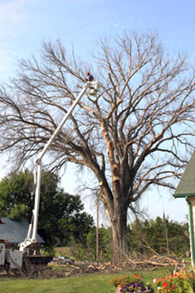 Wright-Hennepin Electric uses aerial bucket to trim higher branches